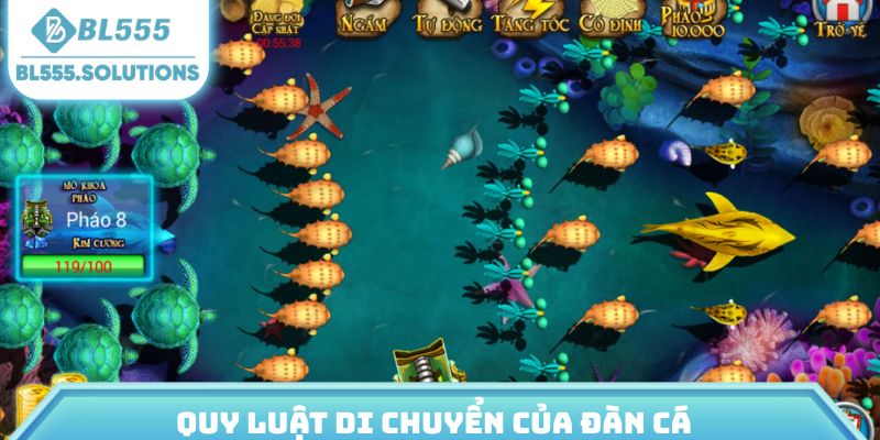 Quy luật di chuyển của đàn cá